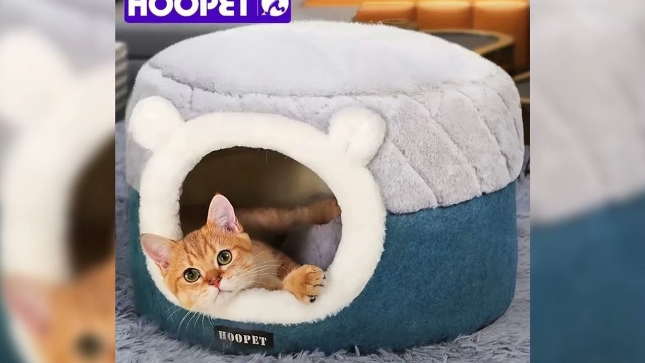 Latest Products You Must Know! HOOPET Cat Bed House Soft Plush Kennel Puppy Cushion Small Dogs Cat