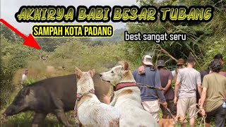 AMAZING‼️HAMPIR SAJA DI TABRAK BABI HUTAN WILD BOAR HUNTING‼️SAMPAH KOTA PADANG