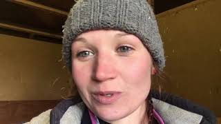 How I Deep Litter Our Ponies Bed With Shavings.