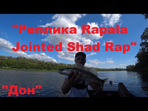Реплики на rapala, (Rapala Jointed Shad Rap), рыбалка на реке Дон. 