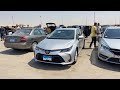 اقوى وافضل يوم لعرض السيارات المستعملة النهارده في سوق سيارات طريق العين السخنة اقوى وافضل يوم لعرض السيارات المستعملة النهارده في سوق سيارات طريق العين السخنة