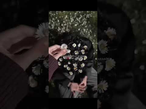 جوزي وانا حره فيه 