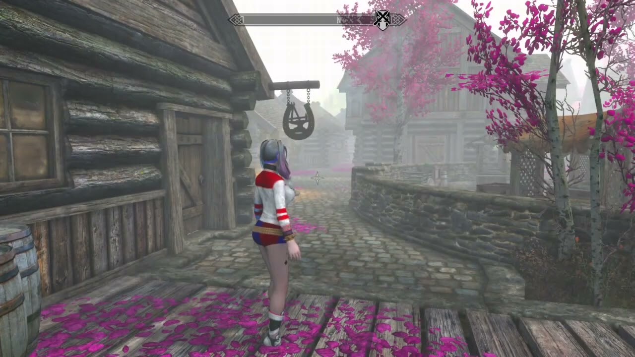 Skyrim (Xbox One) Harley Quinn Outfit Mod (Link in description)