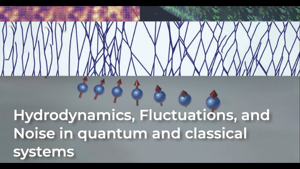 Free mutual information and higher-point OTOCs by Shreya Vardhan