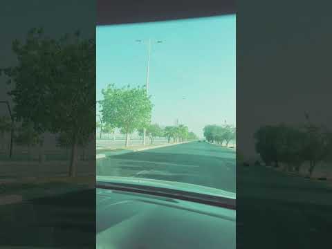 مساكين بنضحك م البلوة  اكسبلور  تصويري   لايك ترند تصميمي