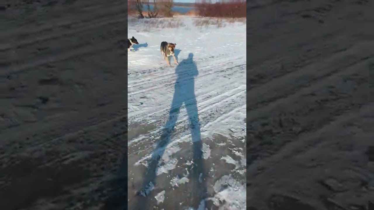 ������������