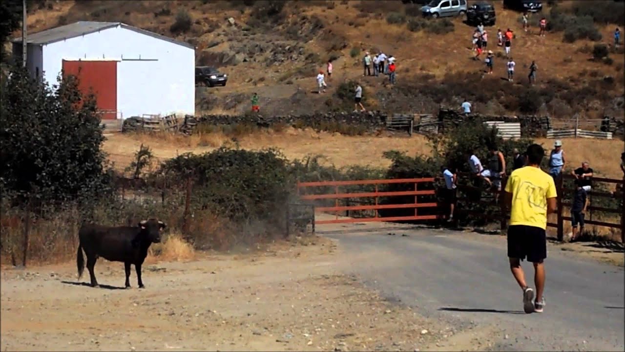 Encierro a caballo Robleda, agosto 2013.