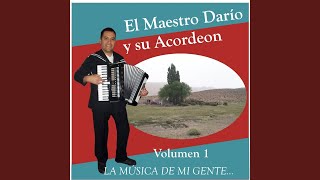 Video thumbnail of "El Maestro Dario y Su Acordeón - Debajo del Parral (Ranchera)"