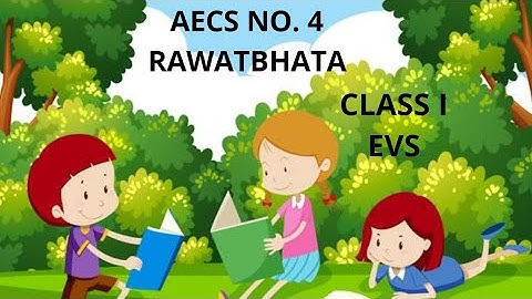 Class- I EVS (Ch.9, Safety Habits, Part-1)