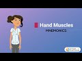 Memorize hand muscles in minutes the simplerthanyouthink trick