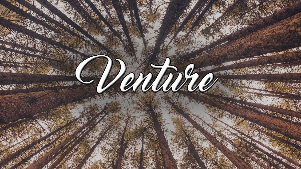 Sugar Pine Walk // Blue Mountains - Venture