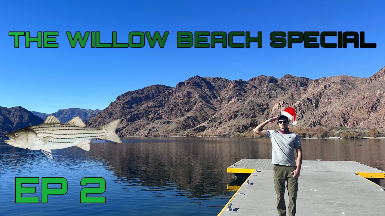 Secrets of Willow Beach | The Willow Beach Special Episode 2