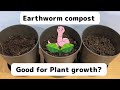 【SDGs】vermicompost really good for plant growth? #earthworm   #gardening #soil