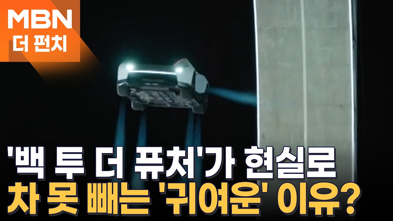 펀치맨의 펀치투어 - '백 투 더 퓨처'가 현실로 / 낚시 중 '쾅' / 급류에 뛰어든 용기 / 차 못 빼는 이유? [더펀치]