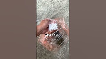 Setup lại bể tép #viral #thuysinh #xuhuong