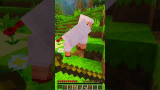 Minecraft's BRAND NEW Zombie Horse Cape #shorts #minecraft
