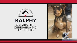 Midland Humane Coalition
