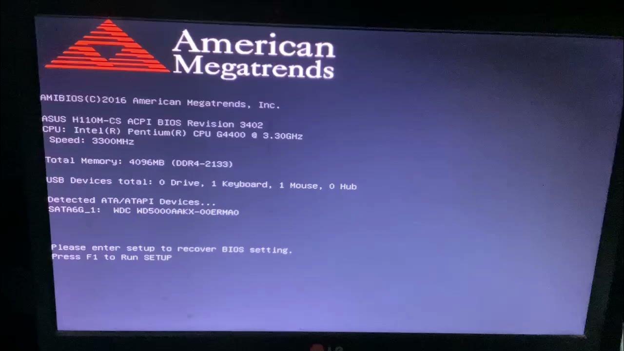 Unable to run Setup on American Megatrends BIOS