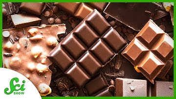 The Secret to Better Chocolate Was Inside Us All Along