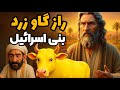 راز گاو زرد بنی اسرائیل چه بود بازسازی انیمیشنی یک معجزه قرآنی 