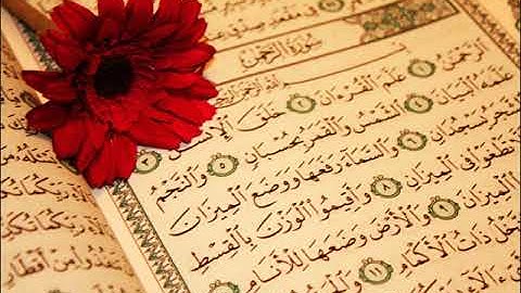 سورة الرحمن للشيخ سيد الشحات صالح