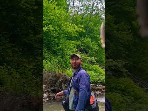 Видео: рыбалка в КБР # Trout fishing 🎣