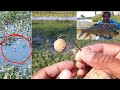 Float Fishing For Beginners नौसिखियों के लिए फ्लोट फिशिंग Float Fishing Techniques #floatfishing