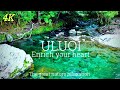 【4k】自然風景　ドローン drone『究極の癒し映像』relaxation healing『潤い』Enrich your heart 自然音