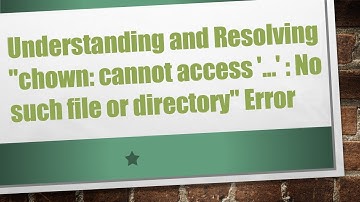Understanding and Resolving "chown: cannot access 