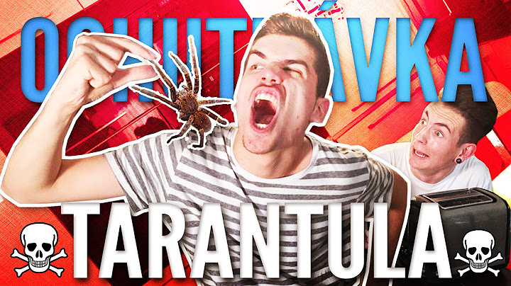 ZJEDOL SOM TARANTULU?! | OCHUTNÁVKA | GoGo & Exploited