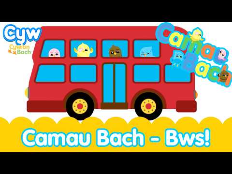 Camau Bach - Bws! 🚌 Dysgu gyda'r Cywion Bach | Welsh toddler learning cute chicks on the bus!