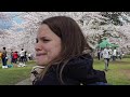 HIGH PARK CHERRY BLOSSOMS toronto canada apr 30/2026