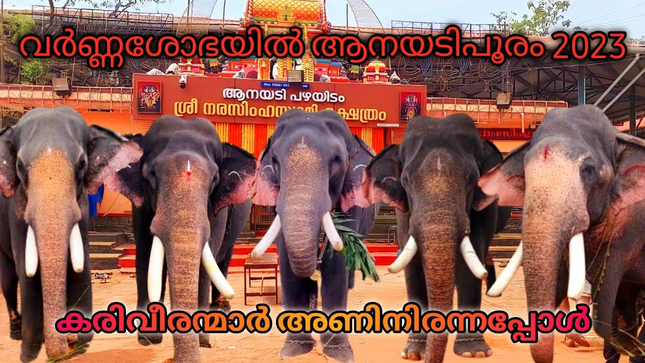 Anayadi pooram 2023 |anayadi sree Narasimha swami temple | 24 Time Travel | 