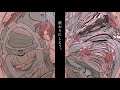 「キズグチ reborn by MI8k」湯木慧MV