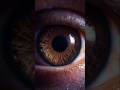 EYE COLOR & STRENGTH! Close-Up 3D Look at the Iris and Sclera Anatomy #humanbody #anatomy #medicina