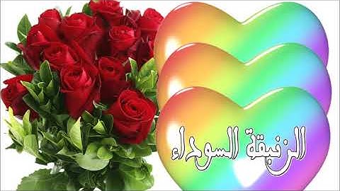 سورة المزمل كاملة بصوت الشيخ أحمد العجمي