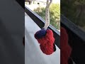 crochet spiderman keychain toy #crochettoy#crocheting #trending
