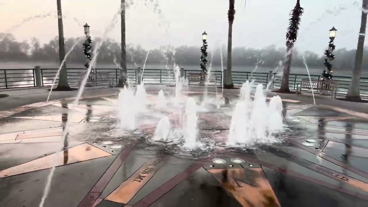 Tribute to Adam the Woo