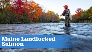 Fishing Grand Lake Stream Maine for Beautiful Landlocked Salmon | S15 E05