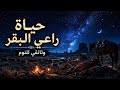 كيف كانت ليالي رعاة البقر وحيدين في البراري الأمريكية الواسعة والمجهولة وثائقي للنوم mp3