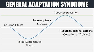 What is General Adaptation Syndrome? | The Process of Recovery and Adaptation