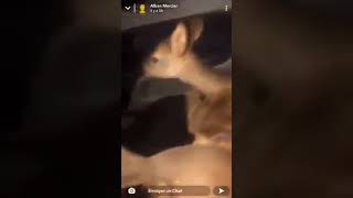 il prend dans sa voiture une biche qui faisait du stop