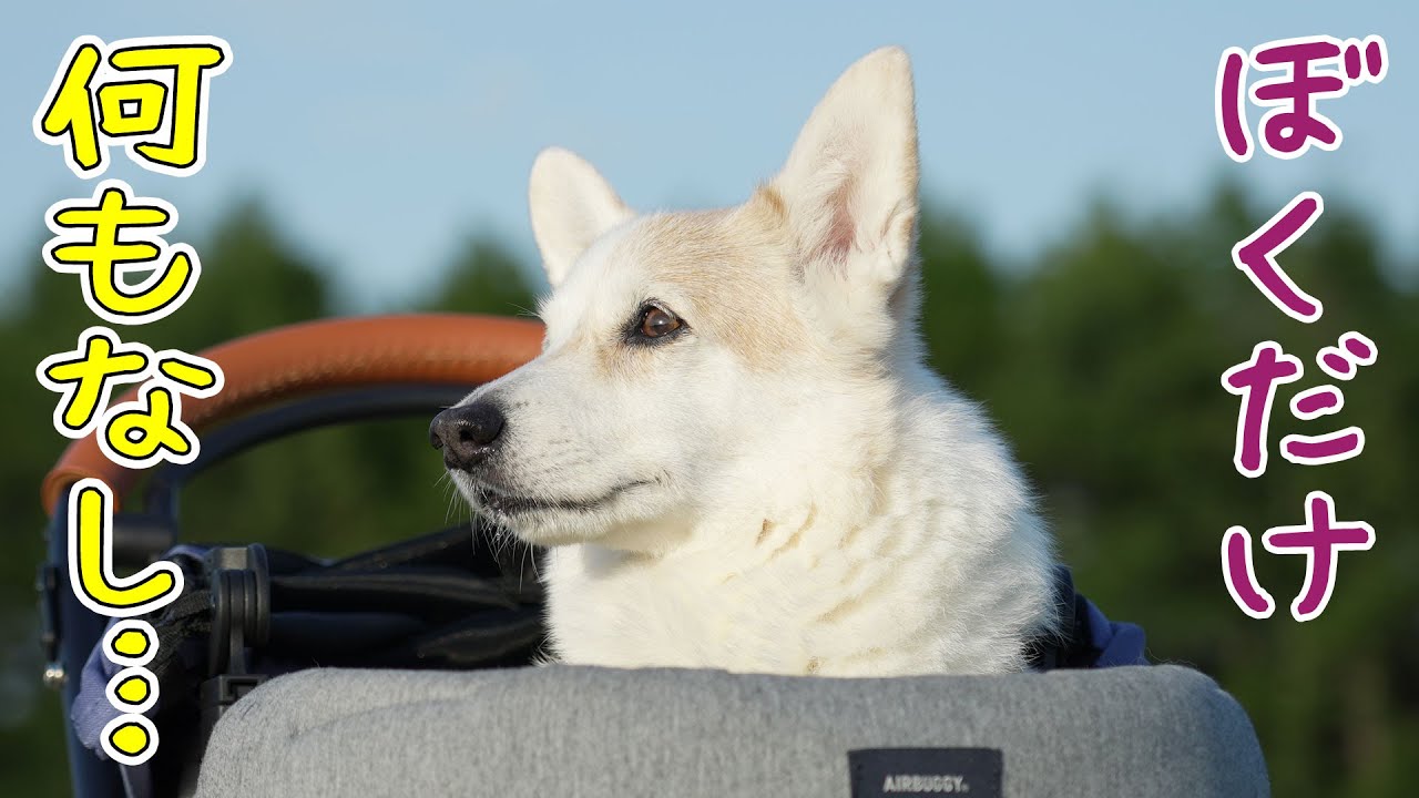 気づいたらノエさんだけ仲間外れでした