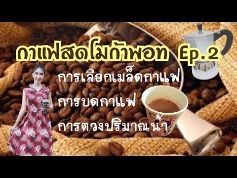 เลือกเมล็ดกาแฟ (โมกาพอท) กาแฟสด Ep.2