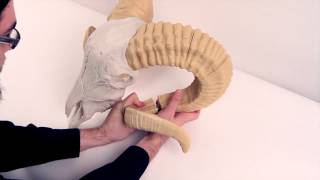 MakerBot Ram Skull Assembly 720p