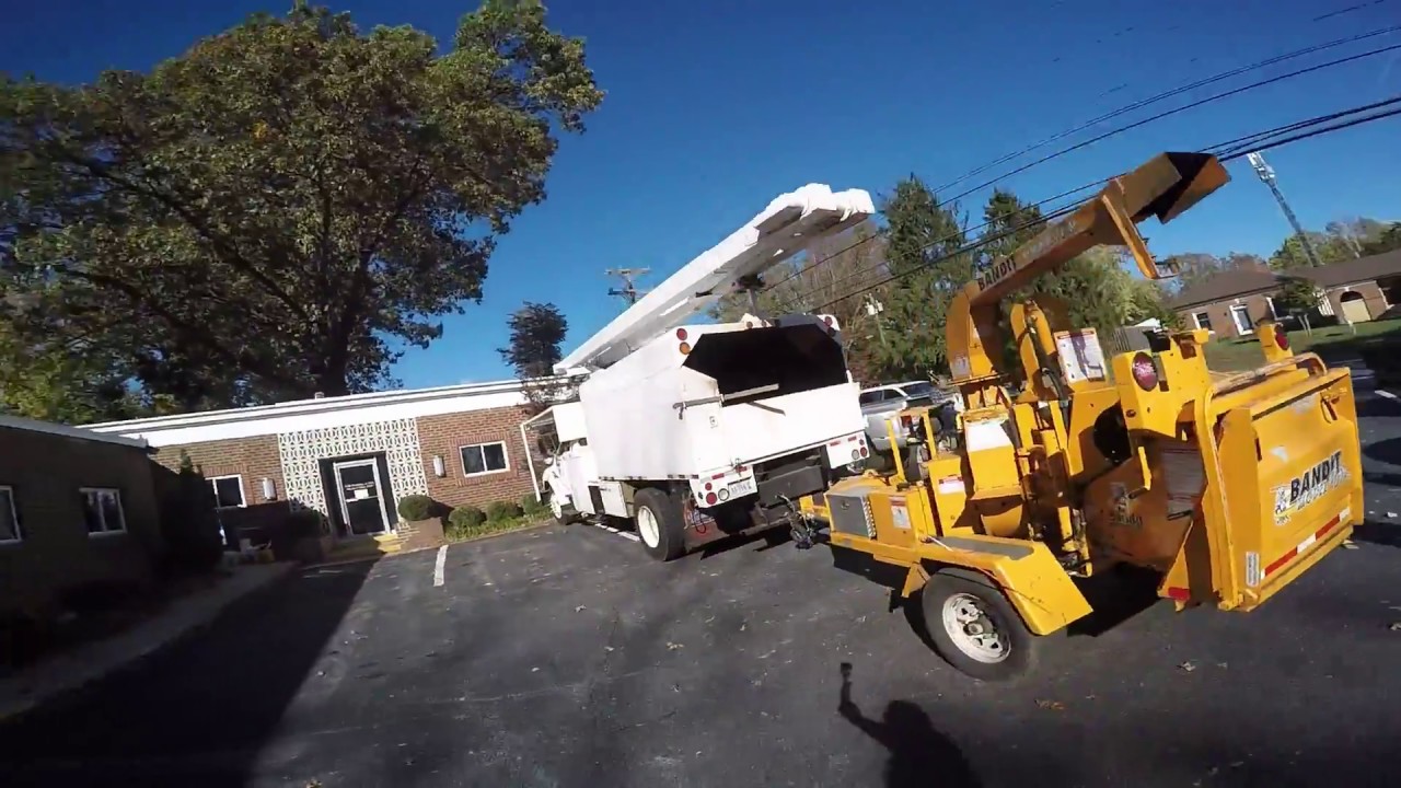 HUGE TREE OVER A BUILDING!!! Charlottesville, VA Tree Service - YouTube