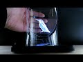 3D ホログラムプロジェクター　3D Hologram Projector