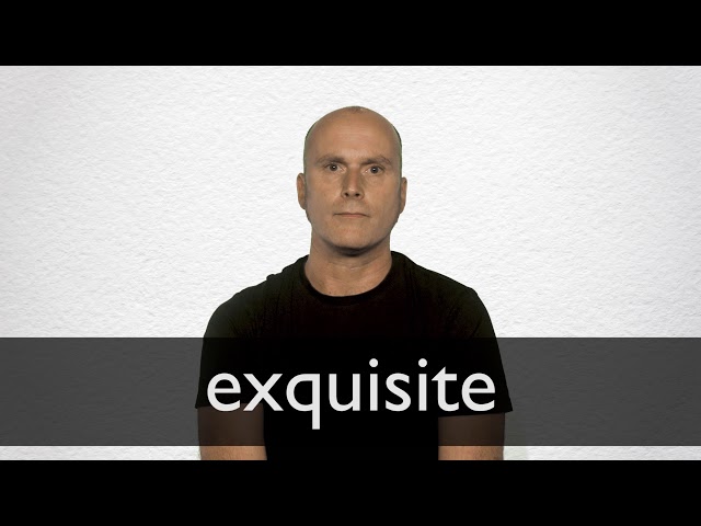 Exquisite Definition And Meaning Collins English Dictionary
