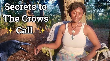 The Secrets to the Crows Call | Crow Spirit Animal Totem