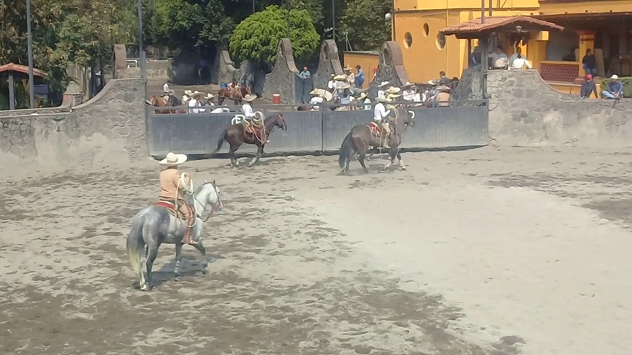 Charreada Lienzo Charro Del Pedregal YouTube Charreada Lienzo Charro Del Pedregal YouTube